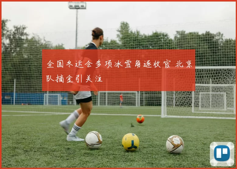 全国冬运会多项冰雪角逐收官 北京队摘金引关注