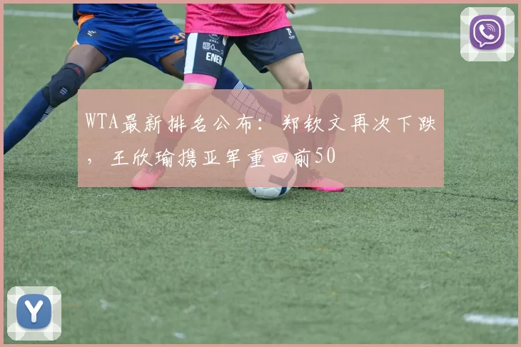 WTA最新排名公布：郑钦文再次下跌，王欣瑜携亚军重回前50