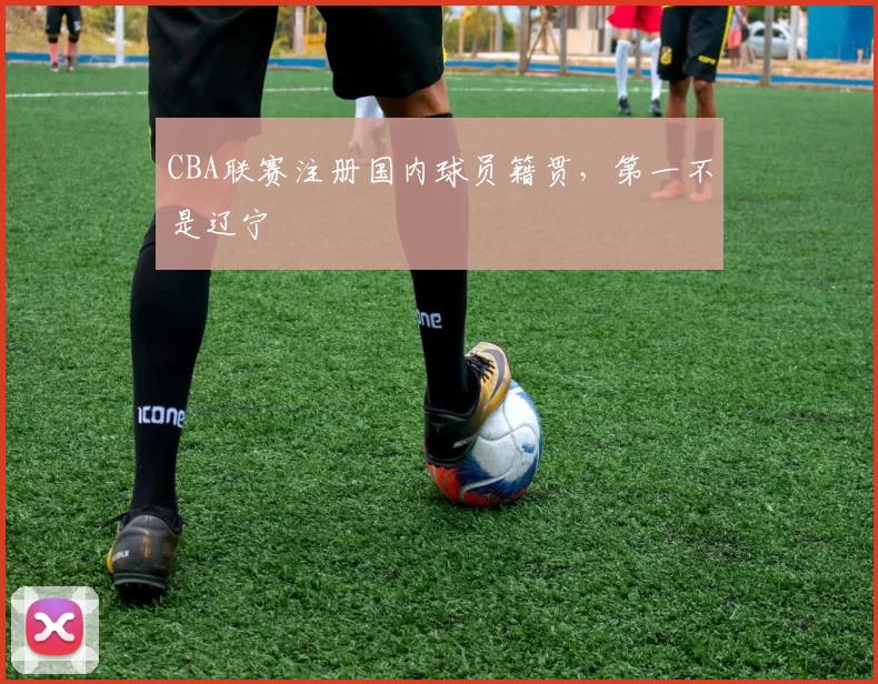 CBA联赛注册国内球员籍贯，第一不是辽宁