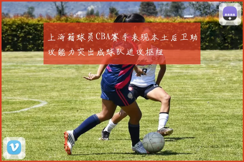 上海籍球员CBA赛季表现本土后卫助攻能力突出成球队进攻枢纽