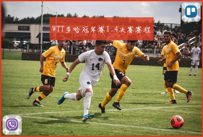 WTT多哈冠军赛1_4决赛赛程