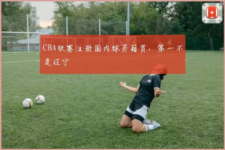 CBA联赛注册国内球员籍贯，第一不是辽宁