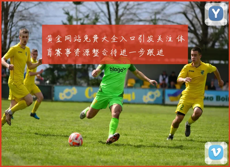 黄金网站免费大全入口引发关注 体育赛事资源整合待进一步跟进