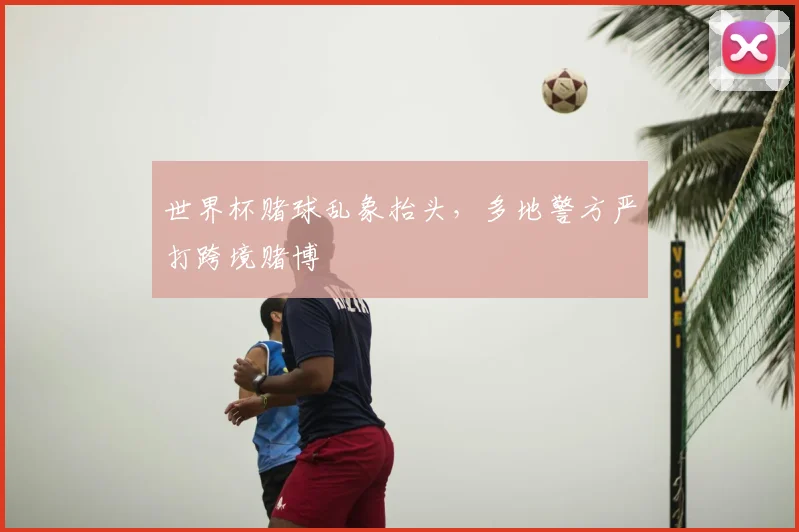 世界杯赌球乱象抬头，多地警方严打跨境赌博