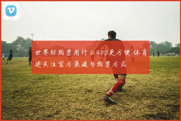 世界杯购票用什么app更方便 体育迷关注官方渠道与购票方式