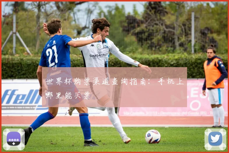 世界杯购票渠道查询指南:手机上哪里能买票