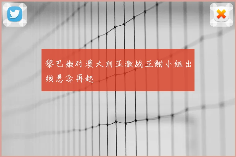 黎巴嫩对澳大利亚激战正酣小组出线悬念再起
