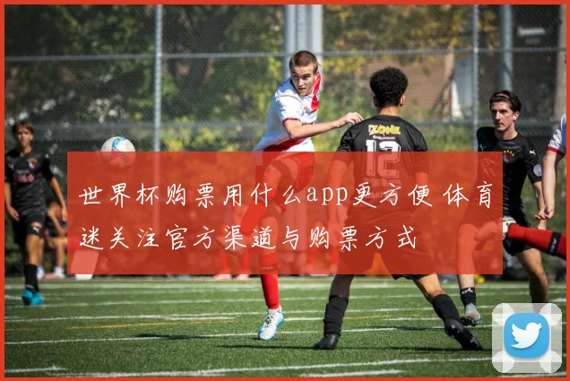 世界杯购票用什么app更方便 体育迷关注官方渠道与购票方式